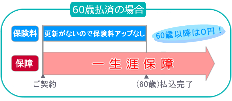 60歳払済の場合の例