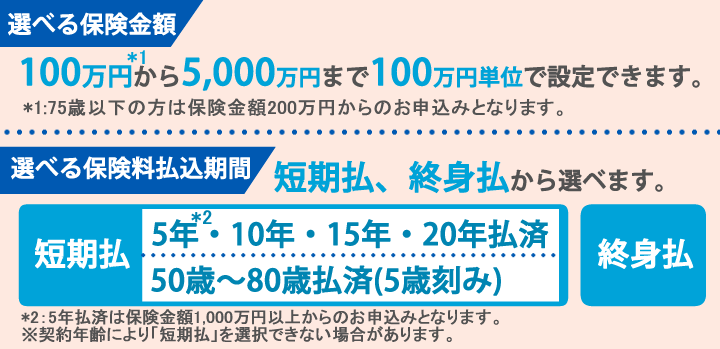 選べる保険金額と払込期間